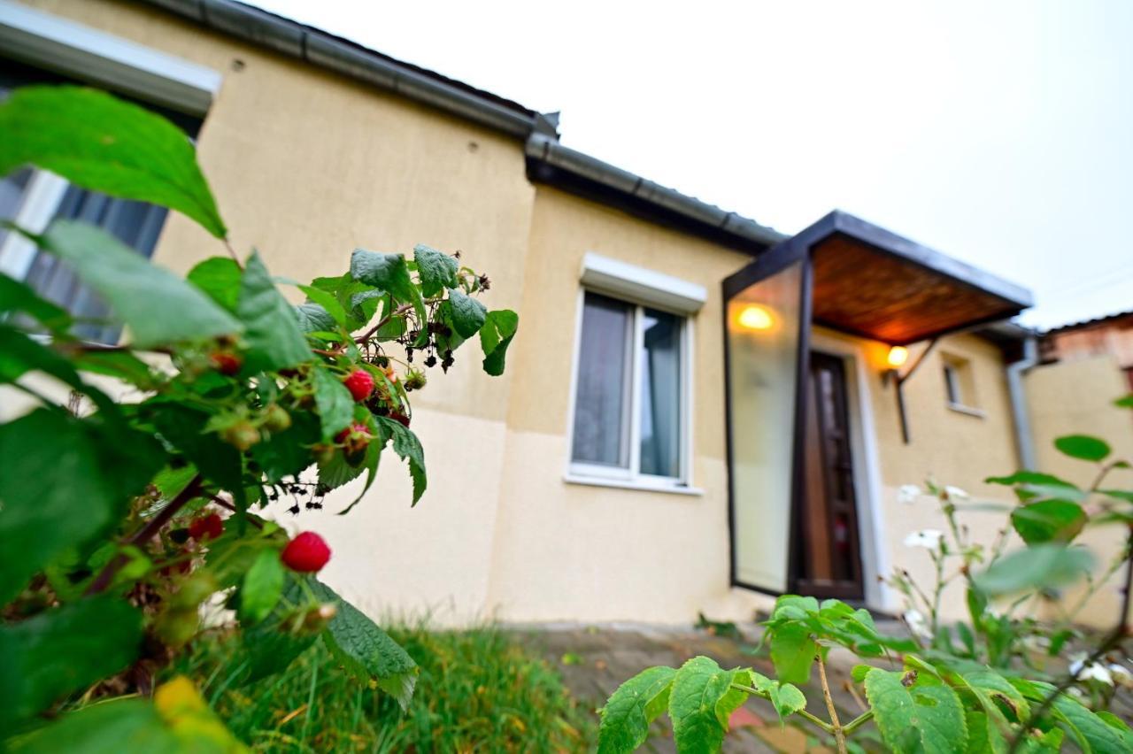 Flh - Corina's Place Apartment Sibiu